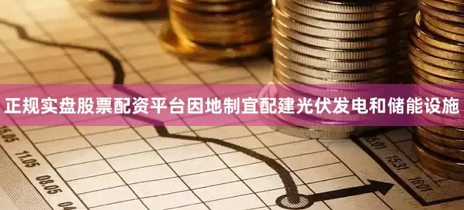 正规实盘股票配资平台因地制宜配建光伏发电和储能设施