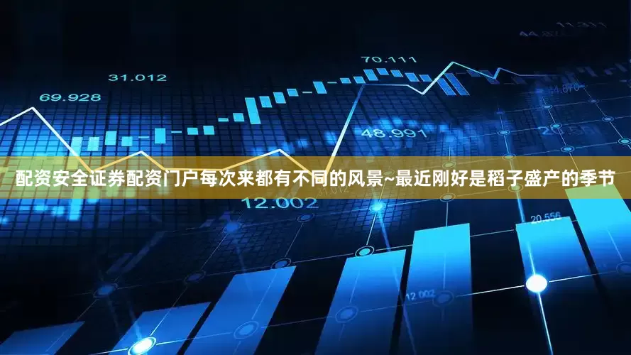 配资安全证券配资门户每次来都有不同的风景~最近刚好是稻子盛产的季节